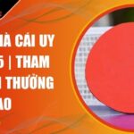 Cá cược bóng bàn 007WIN